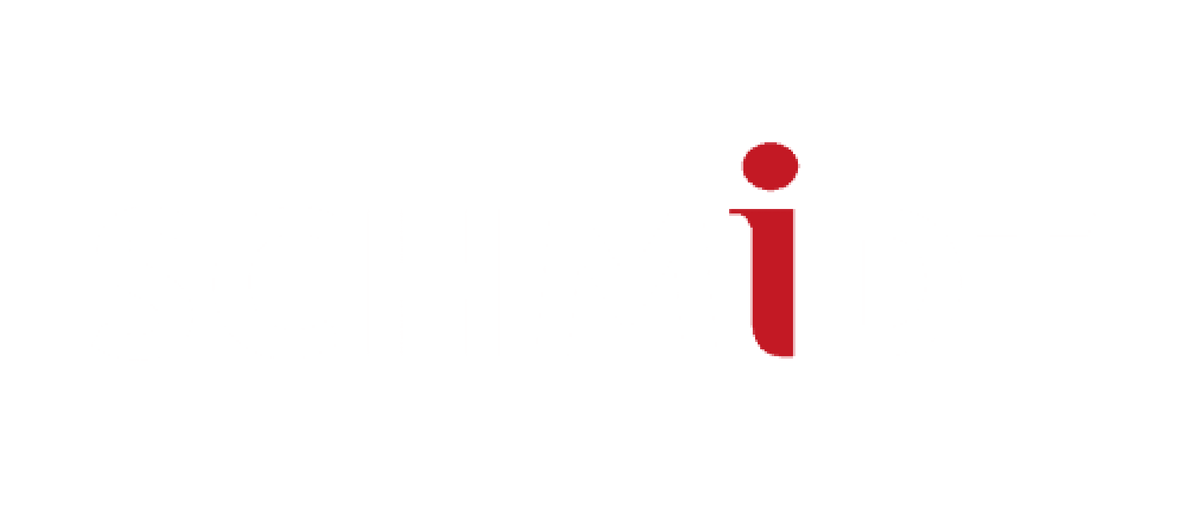 logo_schmidt
