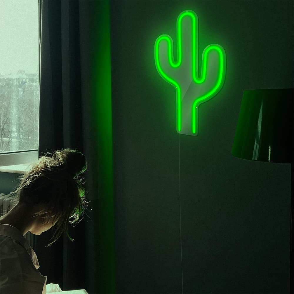 cactus_environnement