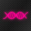 ADN-Fuchsia