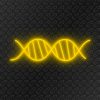 ADN-Jaune