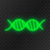 ADN-vert